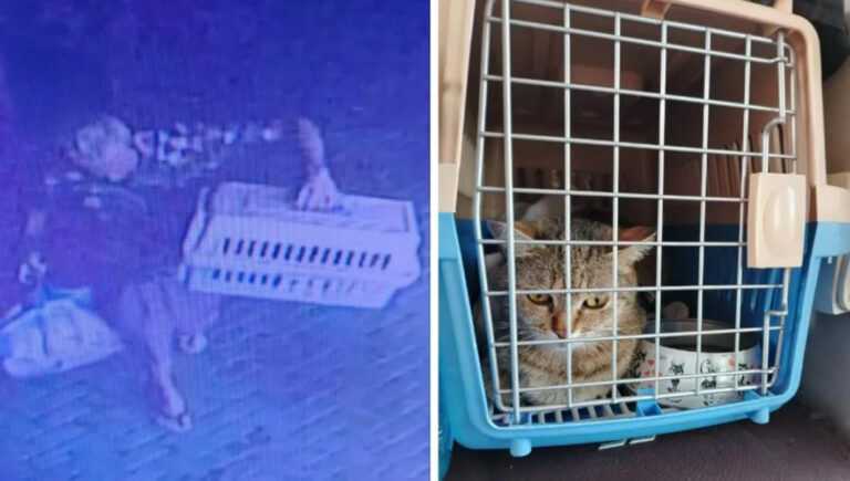 morador-de-rua-furta-gato-de-familia-russa-em-hotel-de-curitiba