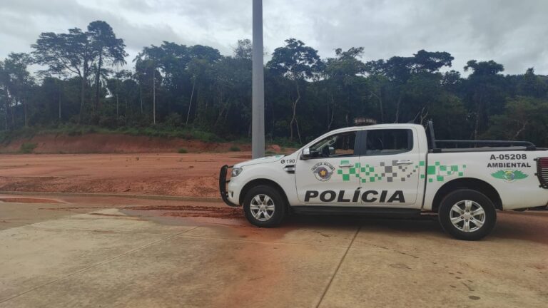 Divinolandense é multado em 17 mil reais por descumprimento de embargo e supressão nativa divinolandense-e-multado-em-17-mil-reais-por-descumprimento-de-embargo-e-supressao-nativa